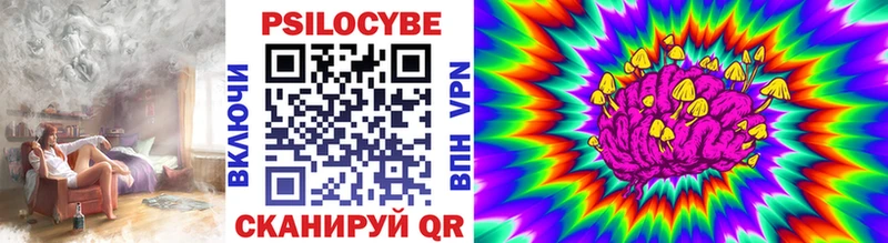 Купить  Феодосия  Псилоцибиновые грибы Cubensis 